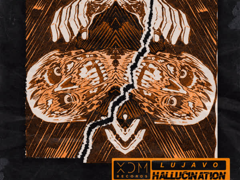 Hallucination (Single)