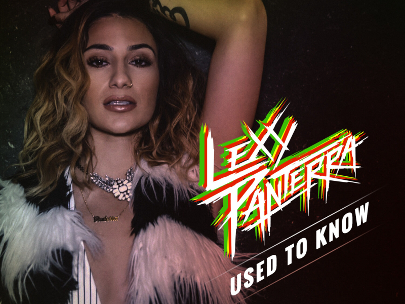 Used to Know - Single