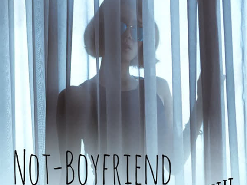 Not-Boyfriend