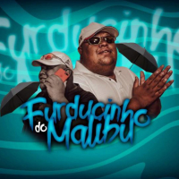 DJ MALIBU - MONTAGEM SOLTA ESSA PIRANHA VS VOLTEI PRAS PUTA (Single)