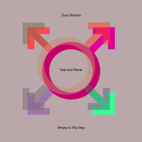 Where Is the Man (Twin Sun Remix) (Single)