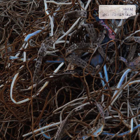 양가치 (Instrumentals)