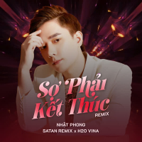 Sợ Phải Kết Thúc (Remix) (Single)