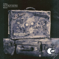 Here to Stay (feat. Lady Chann) [Remixes] (EP)