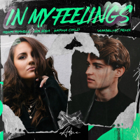 In My Feelings (Wankelmut Remix) (Single)