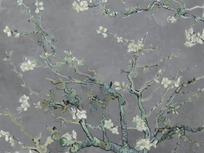 this is what ____ feels like (Vol. 1-4)