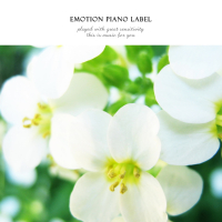 Walk your mind (Single)