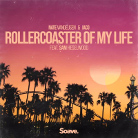 Rollercoaster Of My Life (feat. Sam Heselwood) (Single)