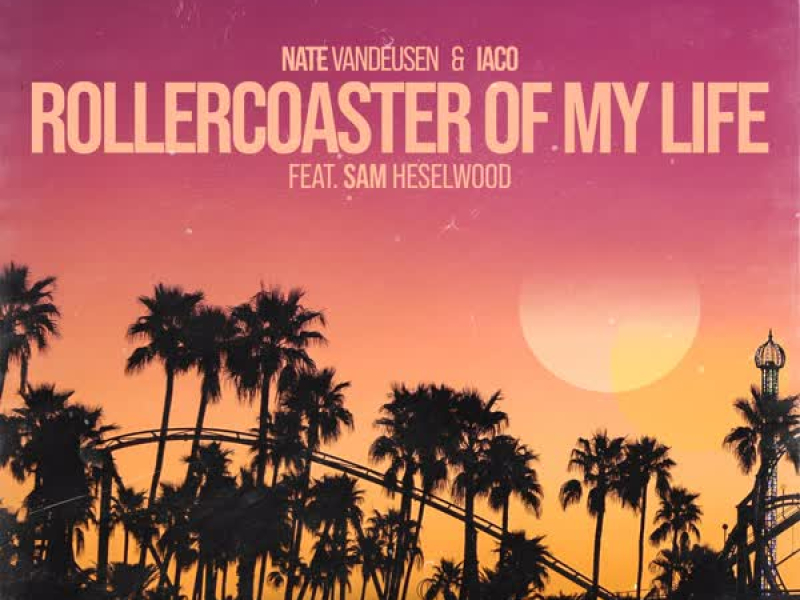 Rollercoaster Of My Life (feat. Sam Heselwood) (Single)