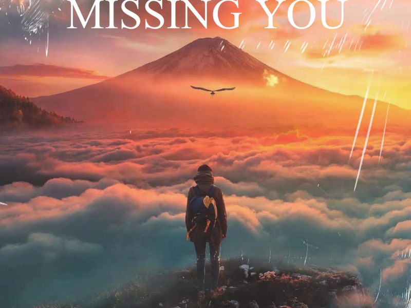 Missing You (Single)