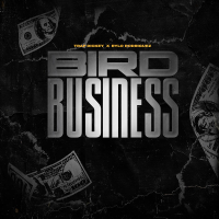 Bird Business (Single)