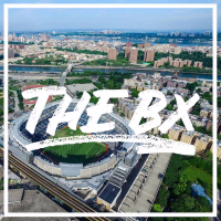 The BX (Single)