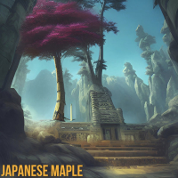 Japanese Maple (Single)