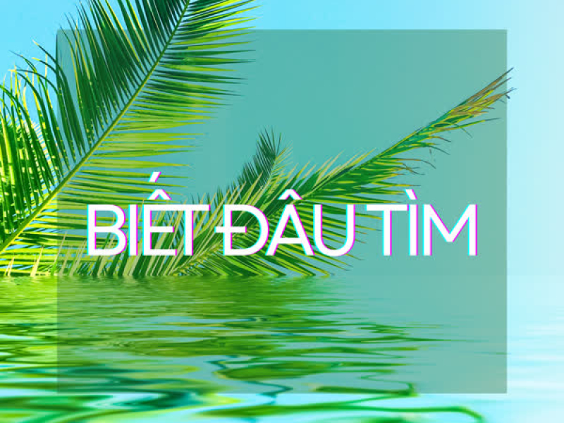 Biết Đâu Tìm