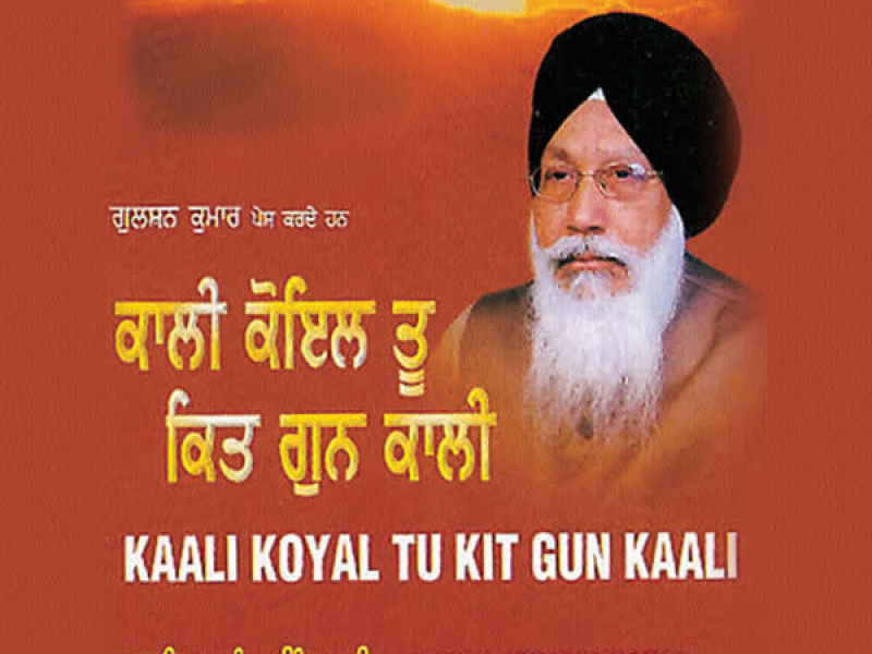Kaali Koyal Tu Kit Gun Kaali Vol-10