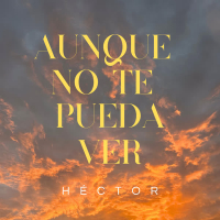 Aunque No Te Pueda Ver (Single)