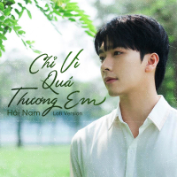 Chỉ Vì Quá Thương Em (Lofi Version) (Freak D Remix) (Single)