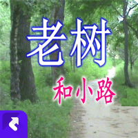 老树和小路 (EP)