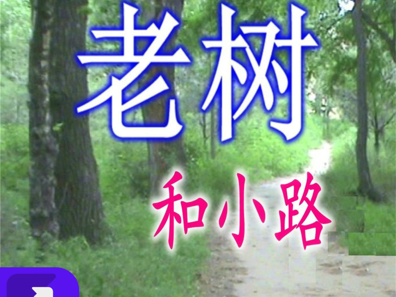 老树和小路 (EP)