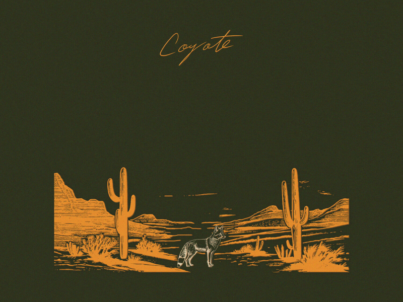 Coyote (Single)