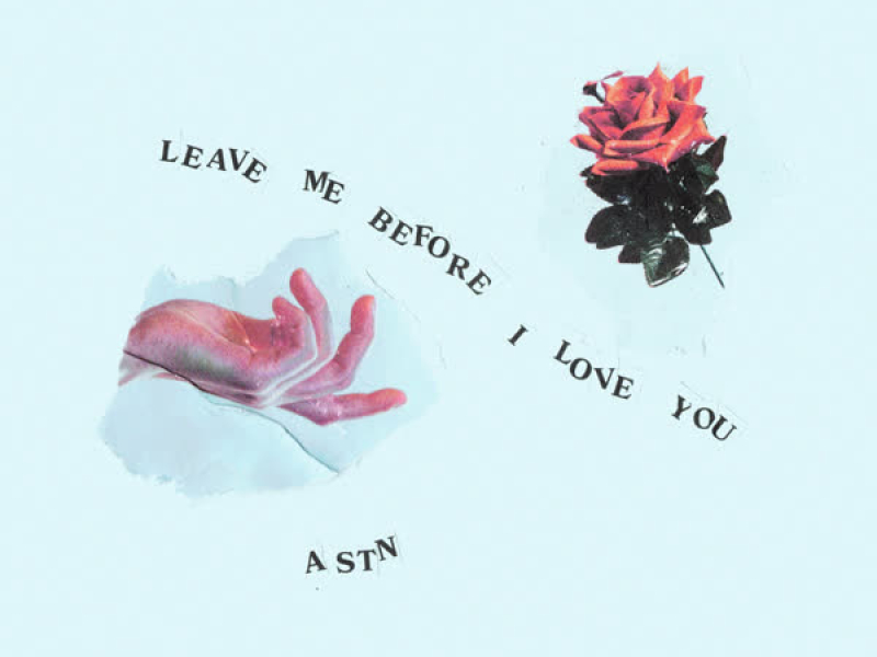 Leave Me Before I Love You (Single)