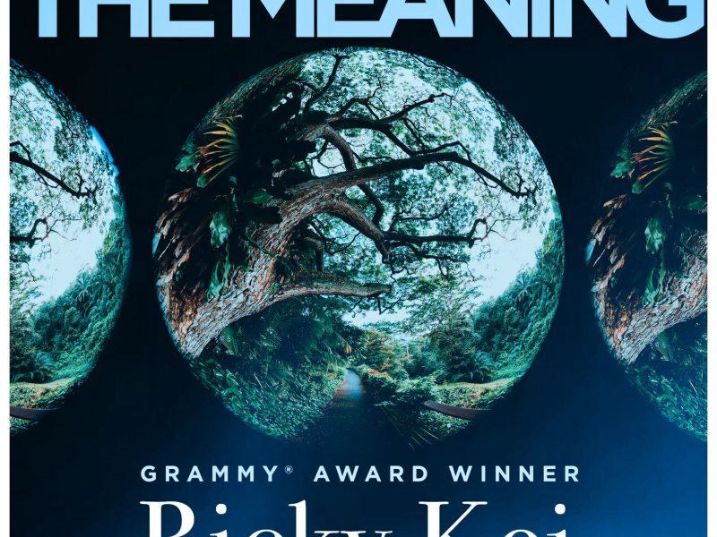 The Meaning (Single)