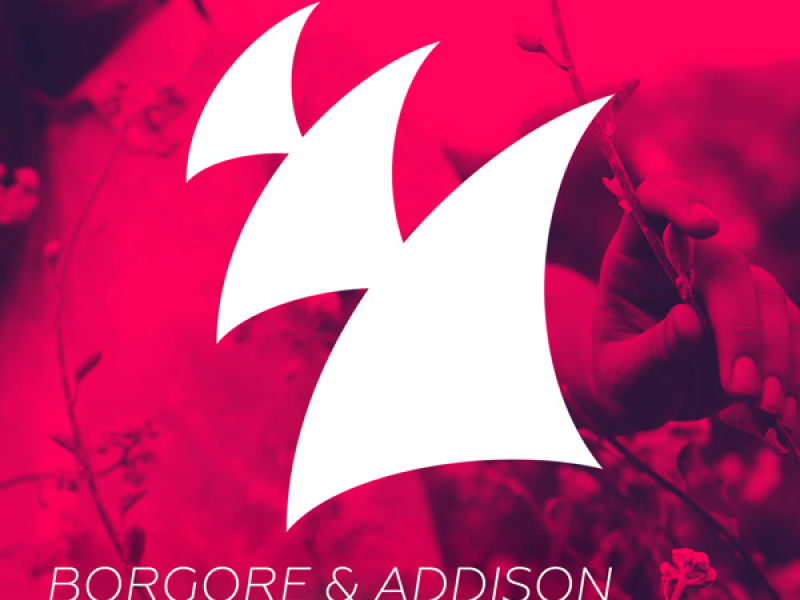 School Daze (Single)