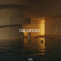 SHELIKEMY.... (Single)