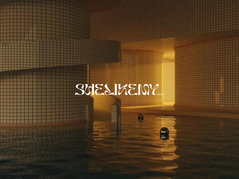 SHELIKEMY.... (Single)