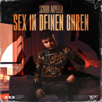 Sex in deinen Ohren (Single)