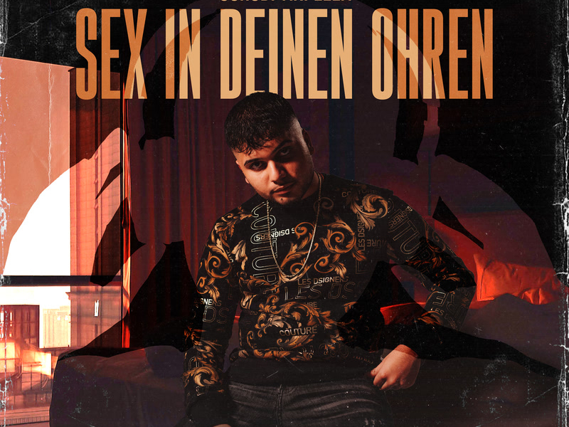 Sex in deinen Ohren (Single)