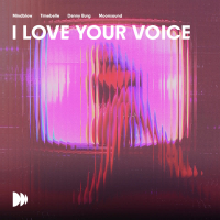 I Love Your Voice (Single)
