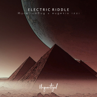 Electric riddle (Single)