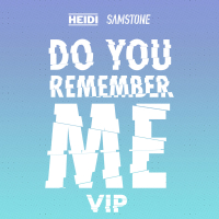 Do You Remember Me (VIP) (Single)