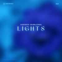 Lights (Single)