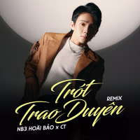 Trót Trao Duyên (Remix) (Single)