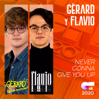 Never Gonna Give You Up (Single)