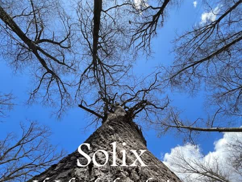 If I had the choice (Single)