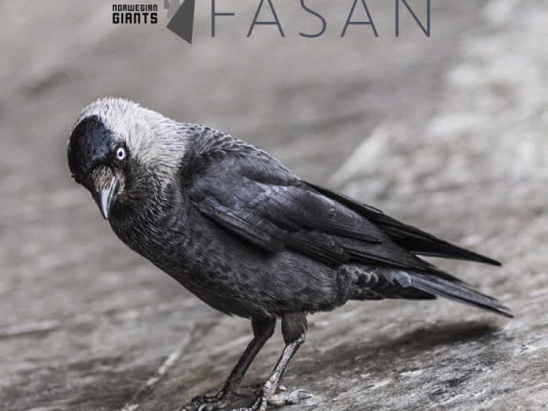 Fasan