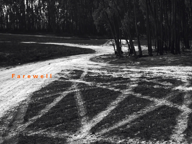 Haydn, Yun: Farewell - Symphonies Nos. 39 and 45 / Chamber Symphony I