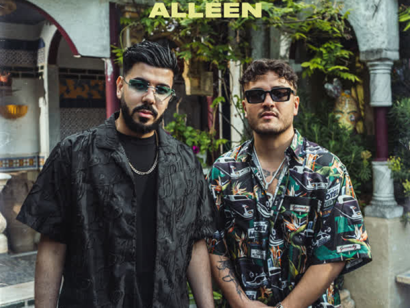 Alleen (Single)