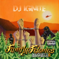 Family Felonies Gdp Volume 2