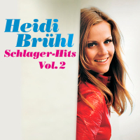 Schlager-Hits Vol. 2