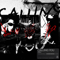 Calling You (Single)