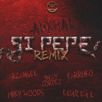 SI PEPE (REMIX) (Single)
