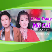 Chim Trắng Mồ Côi (Single)