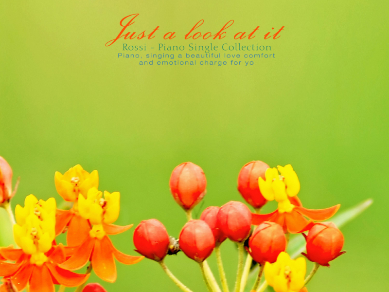 Baraman Bayado (Single)