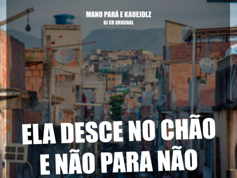 Ela desce no chão e não para não (Single)