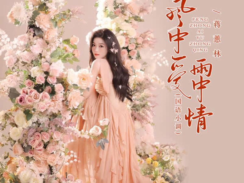 风中爱雨中情 (DJBanan国语小调) (Single)