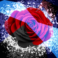 FLOR DIMENSIONAL (Single)